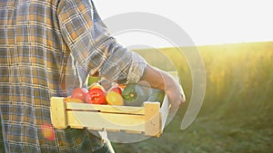 Man farmer holding box of organic vegetables in sunset field: carrots, potatoes, zucchini, tomatoes. Farmer`s market