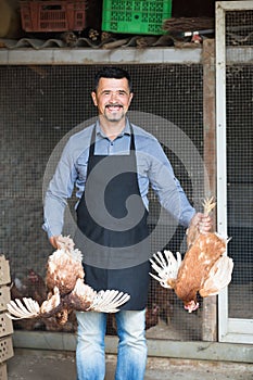 Man farmer holding two chickens for legs
