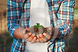 Man farmer holding young plant in hands against spring background. Earth day Ecology concept. Close up selective focus on Person h
