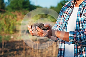 Man farmer holding young plant in hands against spring background. Earth day Ecology concept. Close up selective focus on Person h