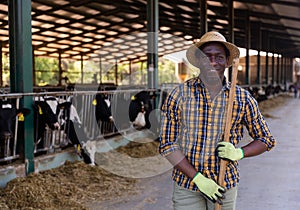 Man farmer posing at cowshed on farm