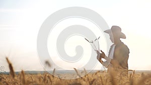 Man farmer red neck in a field examining wheat crop at sunset. Male farmer in a hat plaid shirt silhouette working in