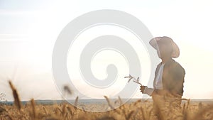 Man farmer red neck in a field examining wheat crop at sunset. male farmer in a hat plaid shirt silhouette working