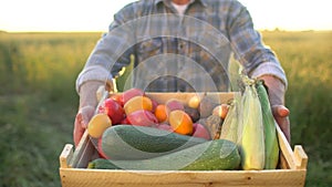 Man farmer showing box of organic vegetables in sunset field: corn, potatoes, zucchini, tomatoes. Farmer`s market