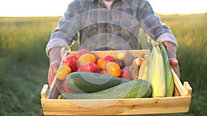 Man farmer showing box of organic vegetables in sunset field: corn, potatoes, zucchini, tomatoes. Farmer`s market