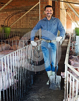 Man farmer standing in pigsty