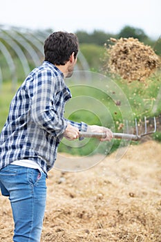 man farmer turns hay with hay fork