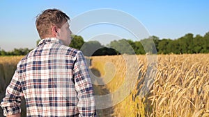 Man farmer walking down golden Barley field