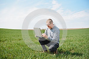 Man farmer working on a laptop in the field. Agronomist examines the green sprout winter wheat