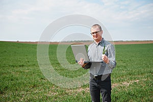 Man farmer working on a laptop in the field. Agronomist examines the green sprout winter wheat