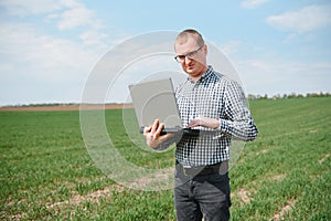 Man farmer working on a laptop in the field. Agronomist examines the green sprout winter wheat