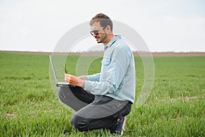 Man farmer working on a laptop in the field. Agronomist examines the green sprout winter wheat