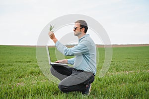 Man farmer working on a laptop in the field. Agronomist examines the green sprout winter wheat