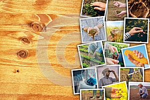 Man in farming and agriculture, photo collage with copy space photo