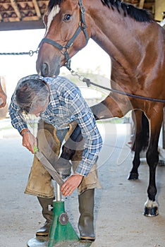 Man farrier at work