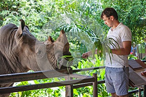 Man feeding the big rhino in the zoo