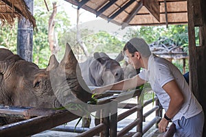 Man feeding the big sad rhino