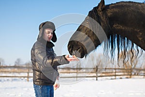 The man feeding horse