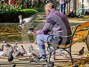 Man feeding pigeons on park bench