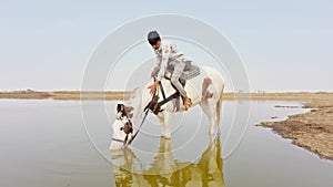 man is feeding water to thirsty horse from pond or Horse drinking water in river while men seated on it