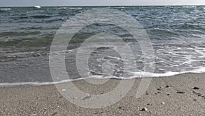 Man Feet Walking Barefoot on Sea Shore. Person walks on the sea shore