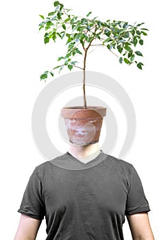 Man with ficus head