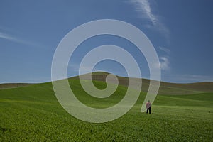 Man in the field in Palouse Washington hills