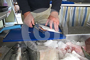 Man filleting a freshly caught fish.