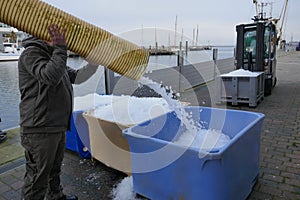 A man fills with a big  hose crushed ice from a cold room into a container.