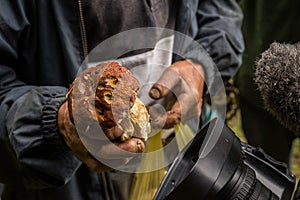 Man filming champion picking mushrooms to eat