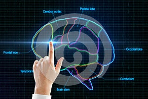 Man finger touching digital human brain photo