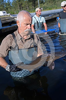 man fisherman holding fish