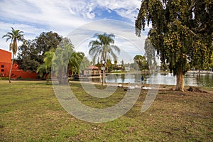 A man fishing on the banks of the the lake in a gorgeous autumn landscape at Lincoln Park surrounded by lush green palm trees