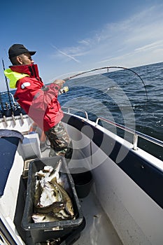 Man fishing for cods at sea