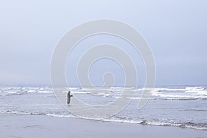 Man Fishing at Grover Beach photo