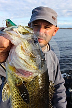 Man Fishing Holding Largemouth Bass