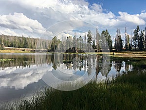 A man fishing in the Lily Lake