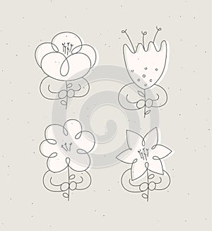 Man with flower set minimalism linear style