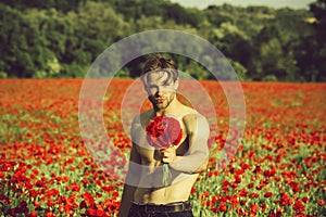 Man with flowers. guy with muscular body in field of red poppy seed