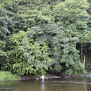 Man fly fishing in river ourthe near la roche en ardennes in french speaking part of belgium photo