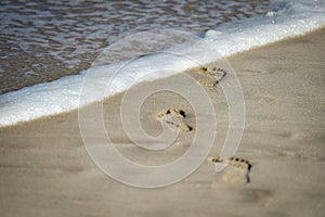 Man footprints in the sand on a beach