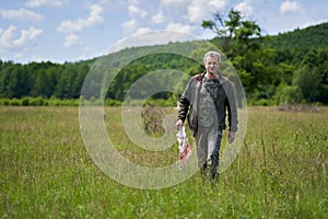 Man foraging for parasol mushrooms