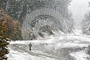 Man in the forest, walking in the blizzard