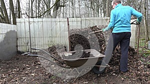 Man with fork load compost into old wheelbarrow in backyard