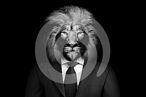 Man in the form of a Lion with Suit and tie , The lion person , animal face  black