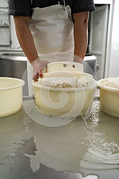 Man forming cheese into the plastic molds at the dairy factory. Cheesemaker preparing fresh cheese