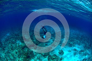 Man free diving and spear fishing