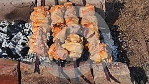 Man fries tradition kebabs shashlik on picnic. Close up.