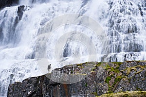 Man in front of an immense waterfall photo