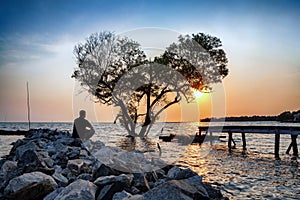 man in frustrated depression sitting alone on the rock dam extended into the sea and looking at tree in the shape of heart on sun